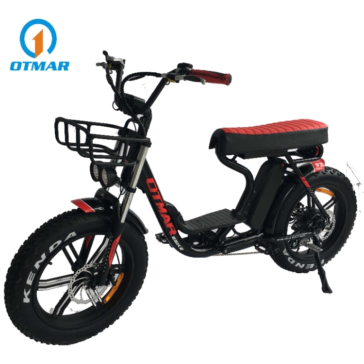 Retro Dirt E Bike Rear Drive 750W Motorcycle Adult Electric Fat Bike