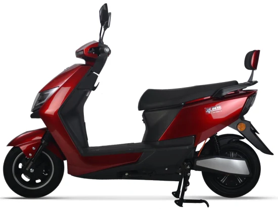 Scooter elettrico a due ruote Fat Bike Bicicletta per adulti Mobilità per adulti 800 W 60 V 20 Ah Batteria al piombo Veicolo elettrico E-Scooter Ciclomotore elettrico