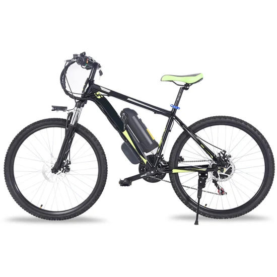 Vendita calda Bicicletta elettrica portatile Pieghevole Bicicletta elettrica Bicicletta elettrica per adulti 350W City Bike