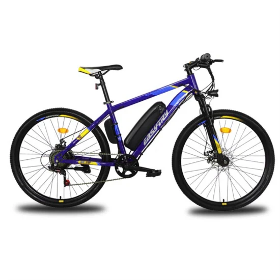 Produttore cinese di biciclette elettriche di alta qualità, bici elettrica personalizzata da 10 Ah 36 V / 48 V, bici elettrica da 250 W / 350 W / 500 W